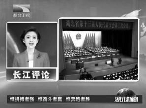 湖北卫视新闻爆料,揭秘重大新闻事件背后真相